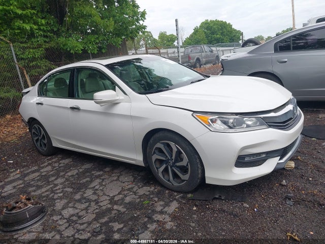 Honda Accord Ex-l V-6