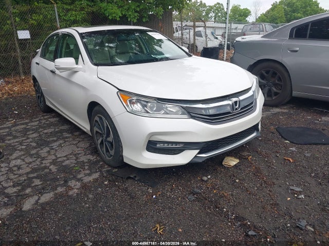 Salvage Honda Accord Image