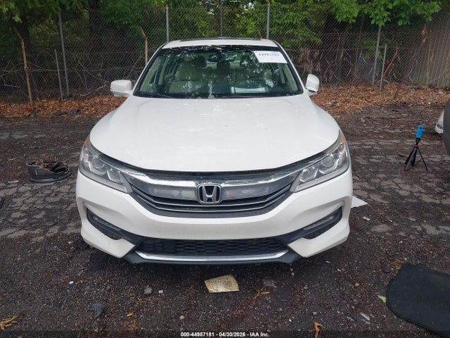 Honda Accord Ex-l V-6