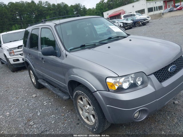 Salvage Ford Escape Image