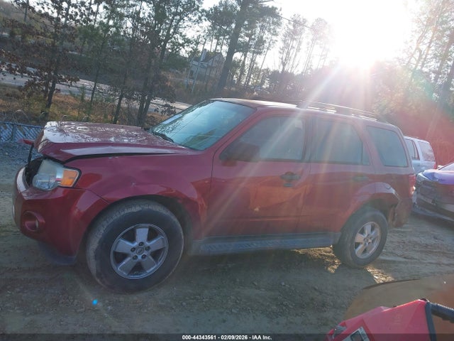 Ford Escape Xlt