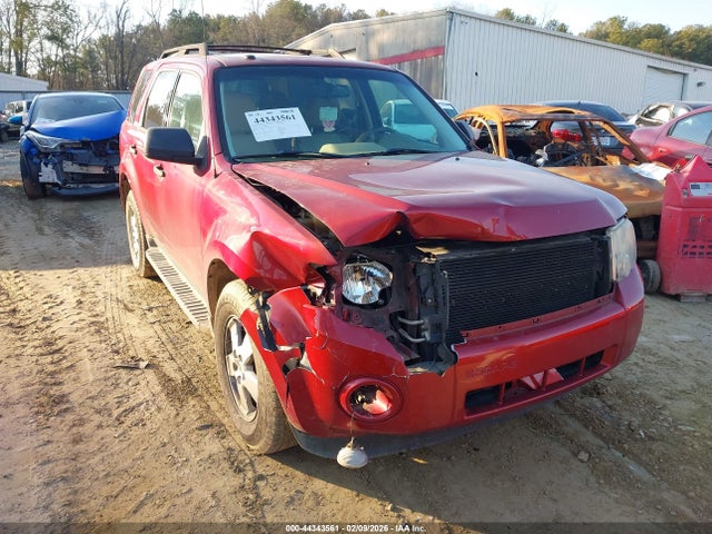 Salvage Ford Escape Image