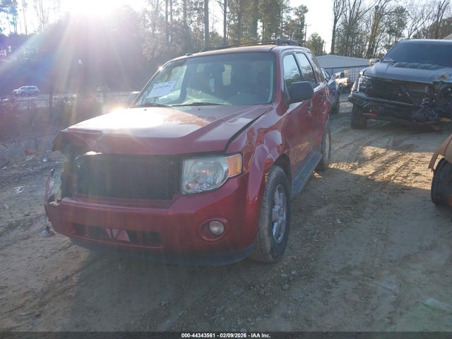 Ford Escape Xlt