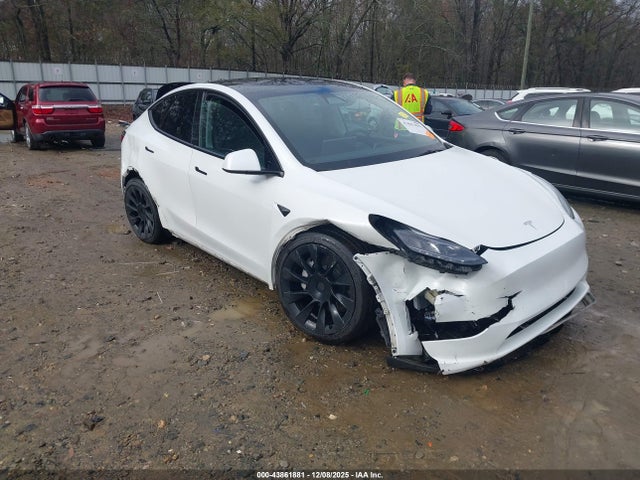 Salvage Tesla Model Y Image