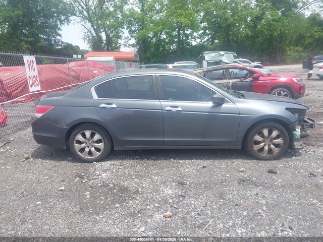 Honda Accord 3.5 Ex-l