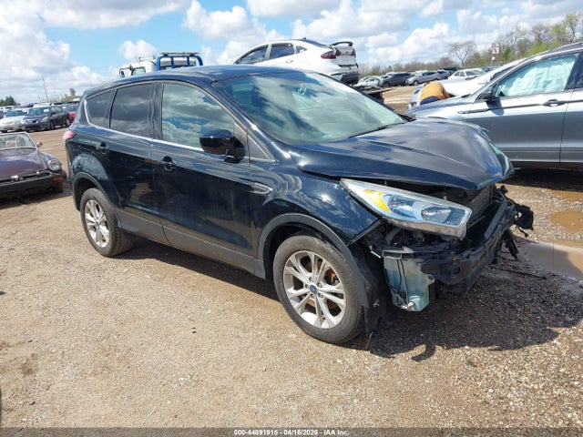 Salvage Ford Escape Image