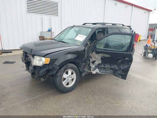 Ford Escape Xlt