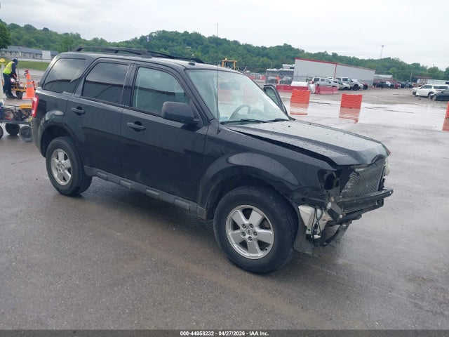 Salvage Ford Escape Image