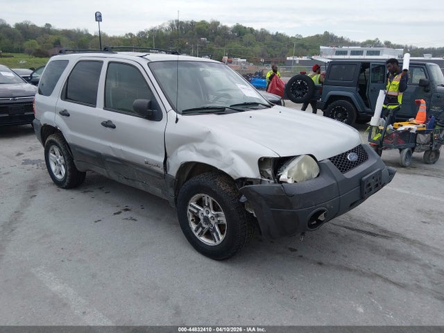 Salvage Ford Escape Image