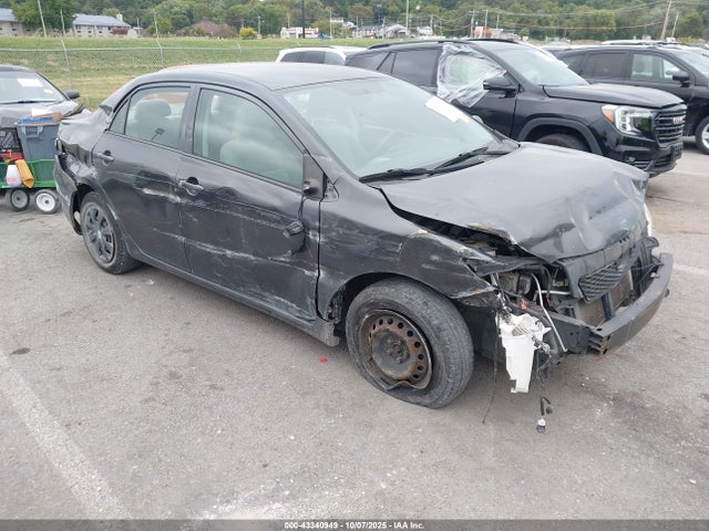 Salvage Toyota Corolla Image