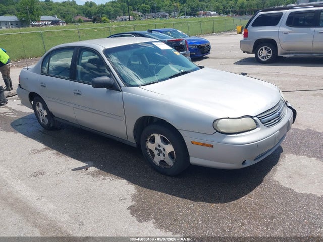 Salvage Chevrolet Malibu Image