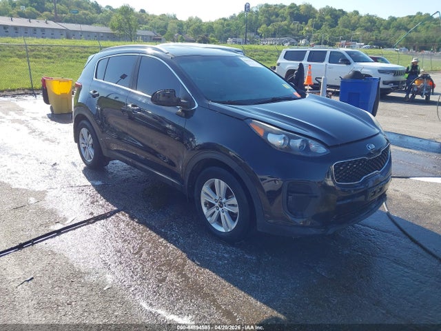 Salvage Kia Sportage Image