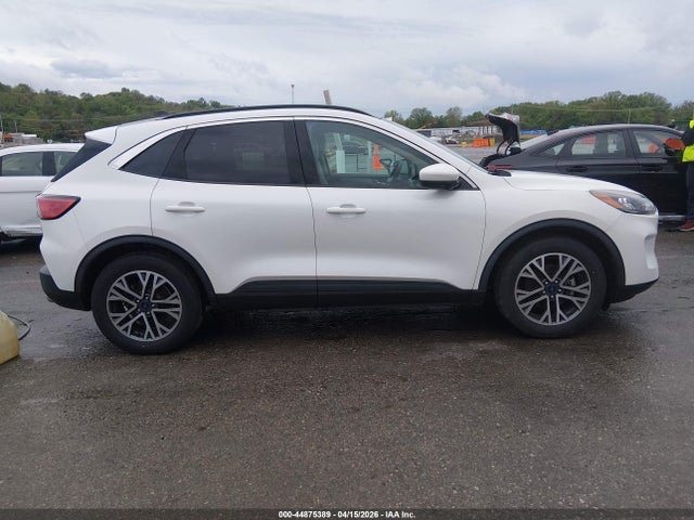 Ford Escape Sel