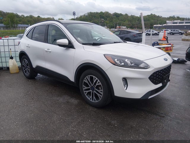 Salvage Ford Escape Image