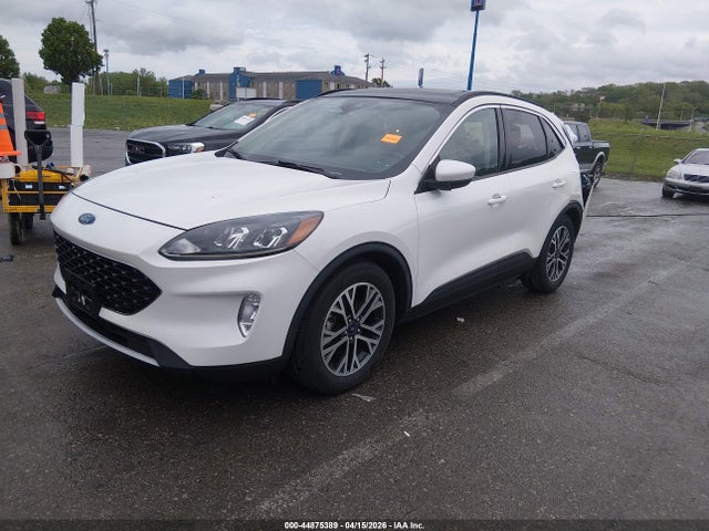 Ford Escape Sel