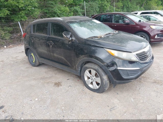 Salvage Kia Sportage Image