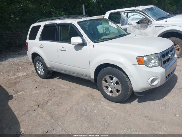 Salvage Ford Escape Image