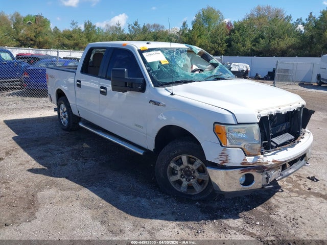 Salvage Ford F-150 Image
