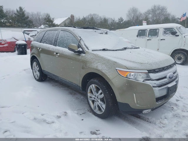 Salvage Ford Edge Image