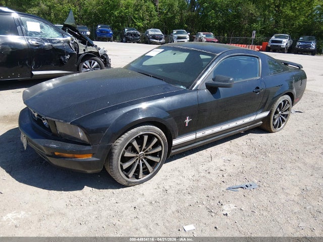 Ford Mustang V6