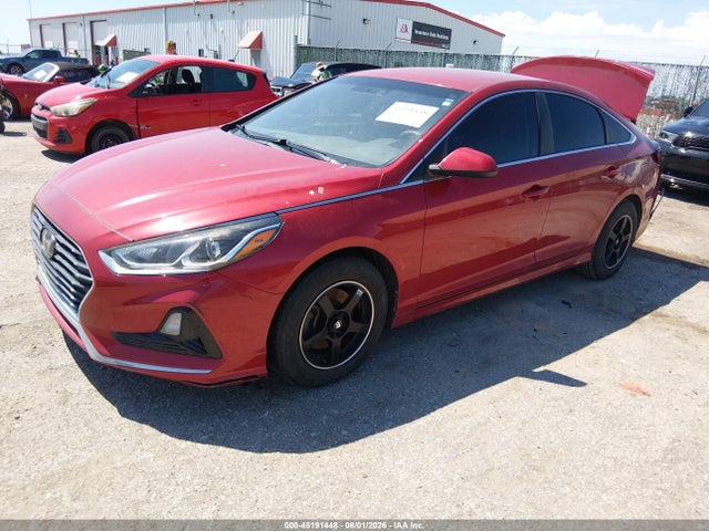 Hyundai SONATA Eco