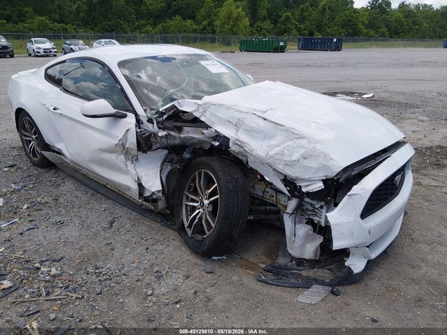 Salvage Ford Mustang Image