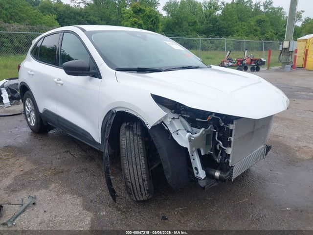 Salvage Ford Escape Image