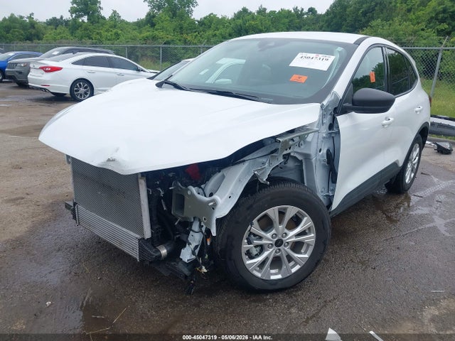 Ford Escape Active