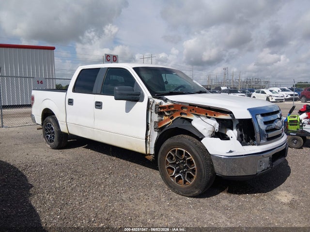 Salvage Ford F-150 Image