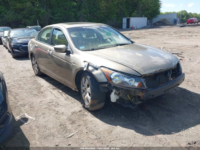 Salvage Honda Accord Image