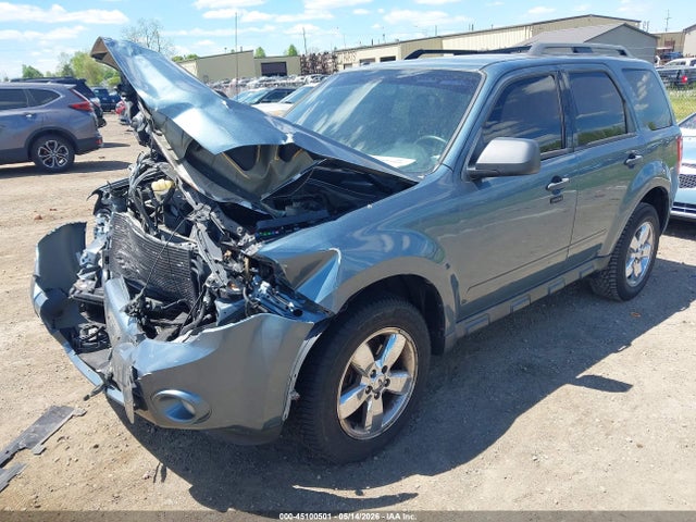 Ford Escape Xlt