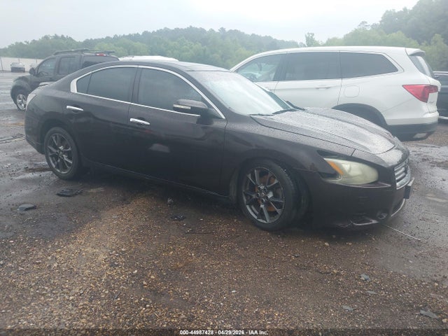 Salvage Nissan Maxima Image