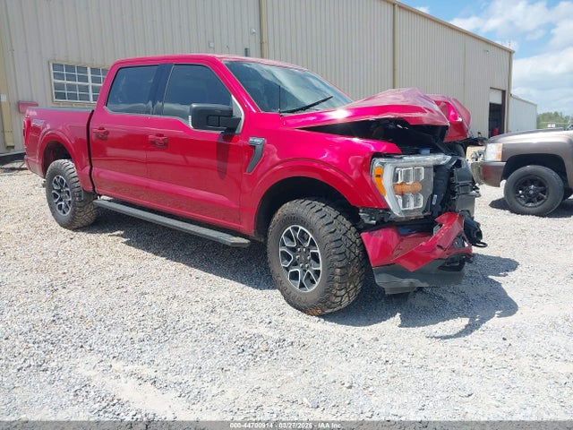 Salvage Ford F-150 Image