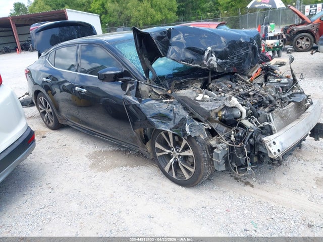 Salvage Nissan Maxima Image