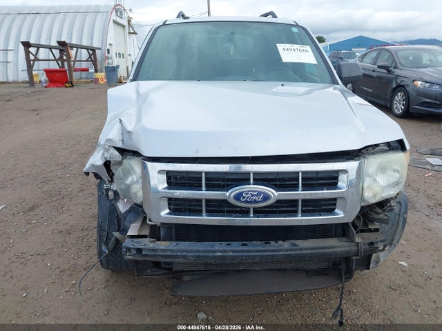 Ford Escape Xlt
