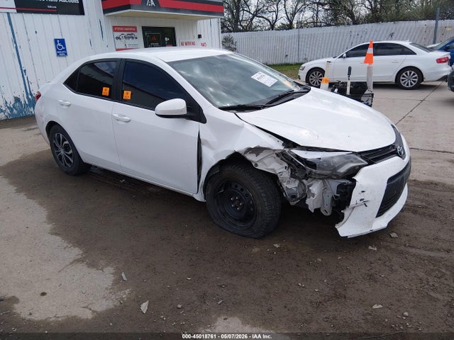 Salvage Toyota Corolla Image
