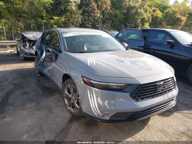 Salvage Honda Accord Image
