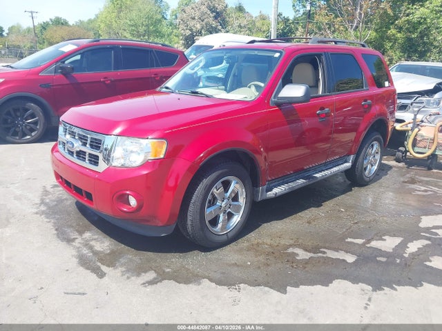 Ford Escape Xlt