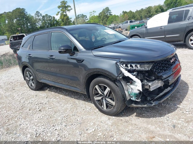 Salvage Kia Sorento Image