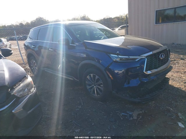 Salvage INFINITI Qx Image