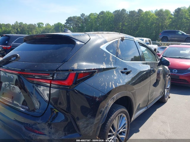 Lexus NX Luxury