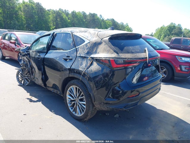 Lexus NX Luxury