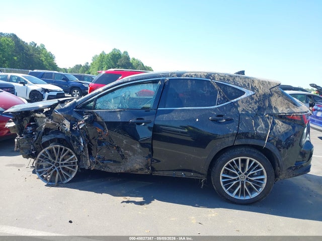 Lexus NX Luxury