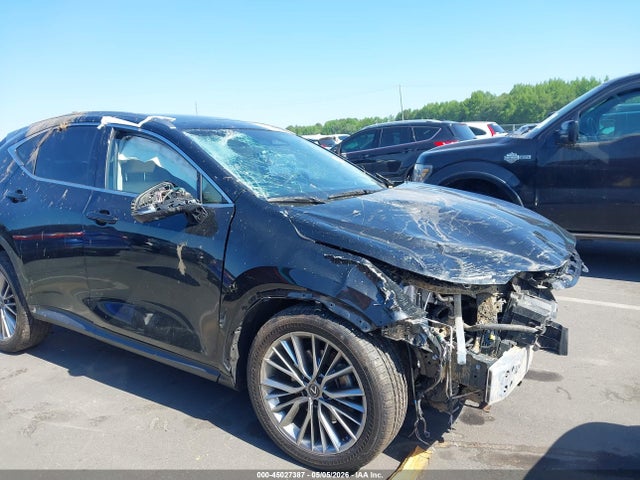 Lexus NX Luxury
