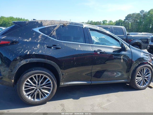 Lexus NX Luxury