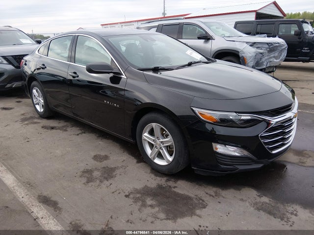Salvage Chevrolet Malibu Image