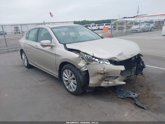Salvage Honda Accord Image