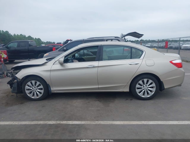 Honda Accord Ex-l V-6