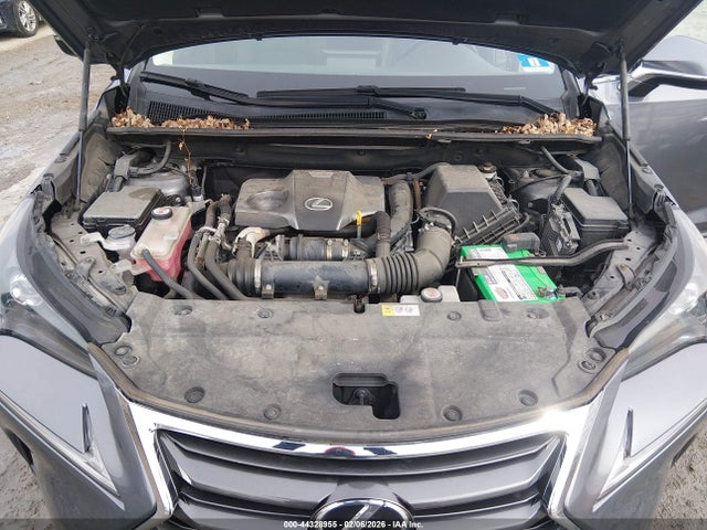 Lexus NX