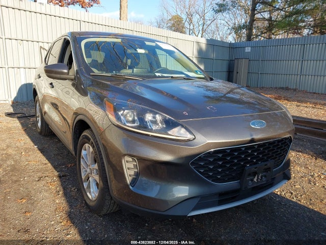 Salvage Ford Escape Image